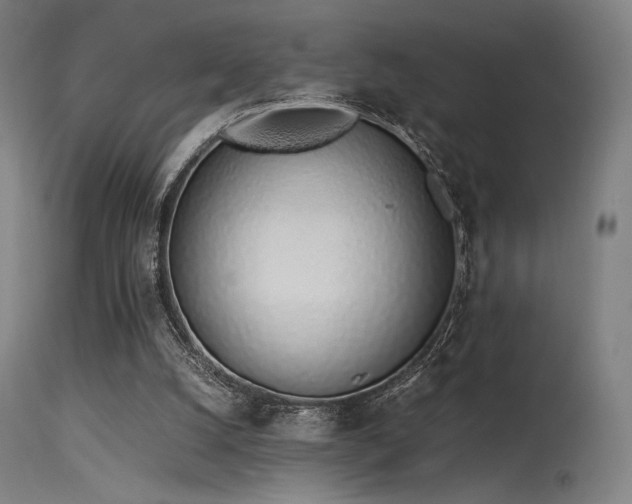 X0000115640056200911101526