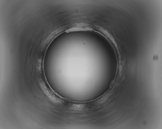 X0000115640057200911101526