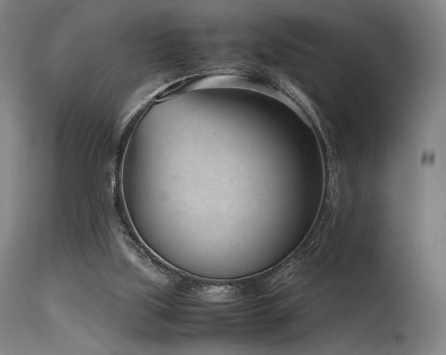 X0000115640059200911101526