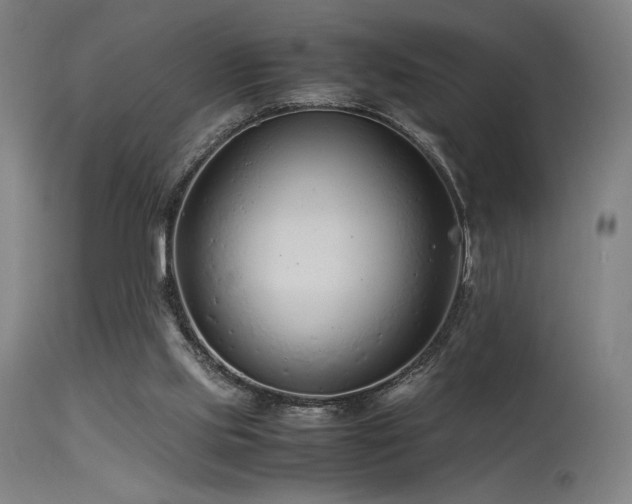X0000115640061200911101526