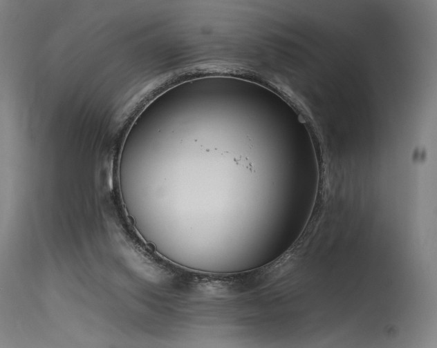 X0000115640062200911101526
