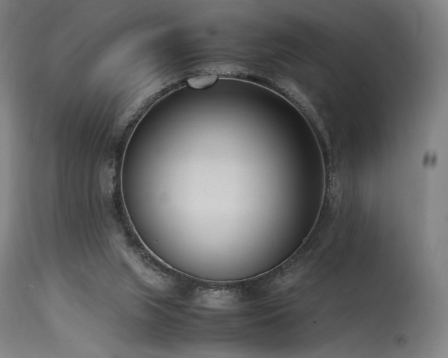 X0000115640063200911101526