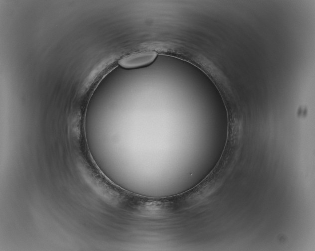 X0000115640064200911101526