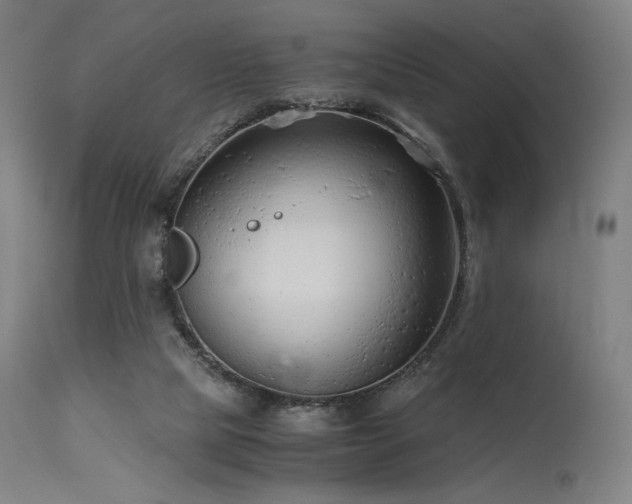 X0000115640065200911101526