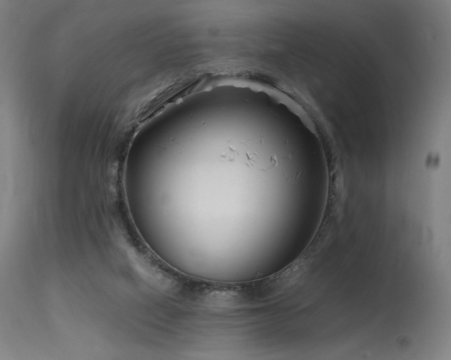 X0000115640066200911101526
