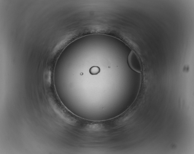 X0000115640067200911101526