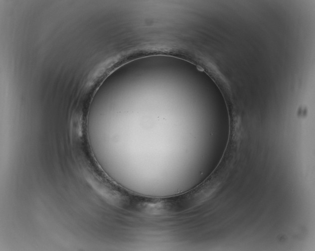 X0000115640068200911101526