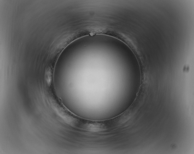 X0000115640069200911101526