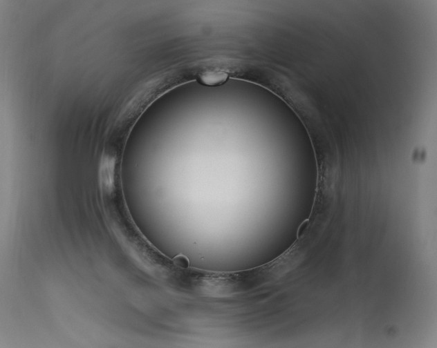 X0000115640070200911101526