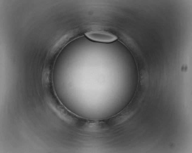 X0000115640072200911101526
