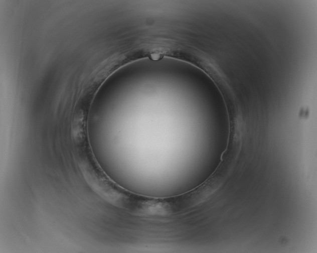 X0000115640073200911101526