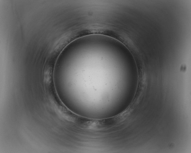 X0000115640074200911101526