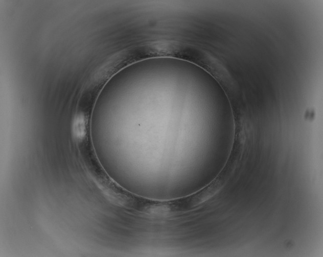 X0000115640075200911101526