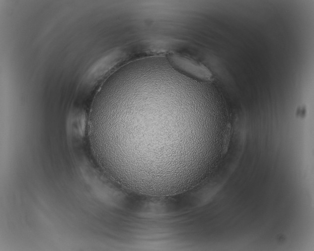 X0000115640076200911101526