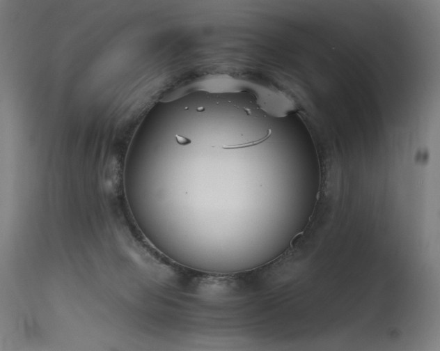 X0000115640077200911101526