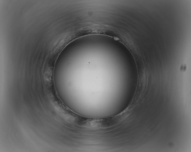 X0000115640078200911101526