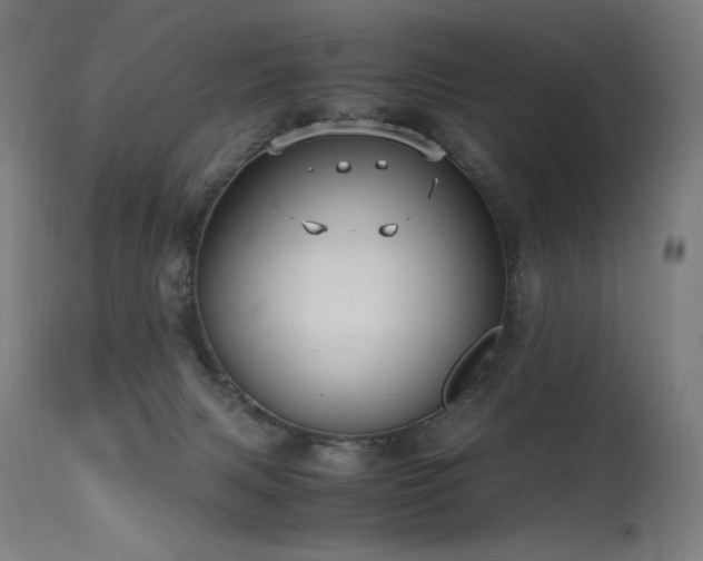X0000115640079200911101526