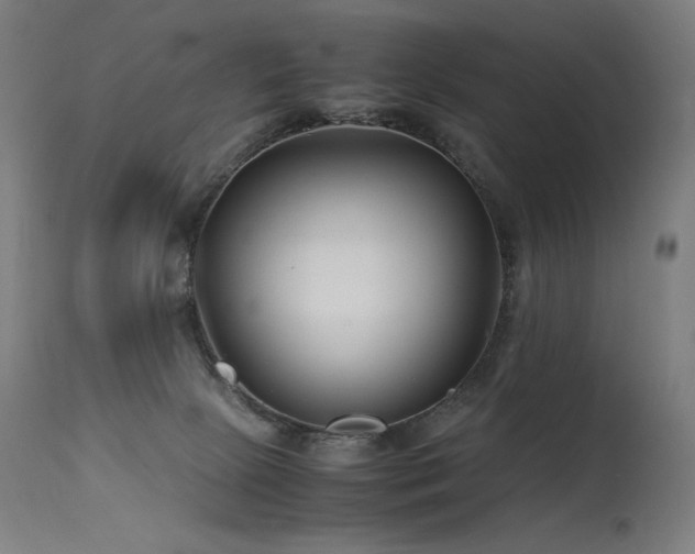 X0000115640081200911101526
