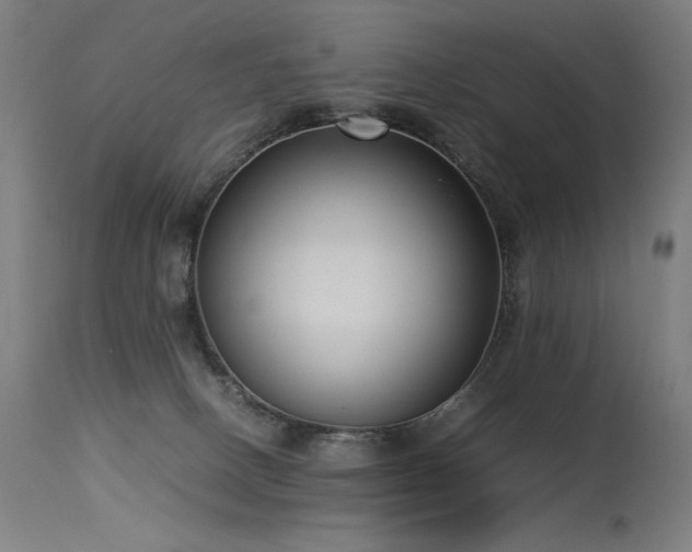 X0000115640082200911101526