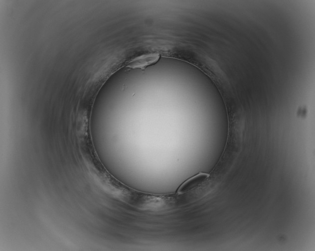 X0000115640083200911101526