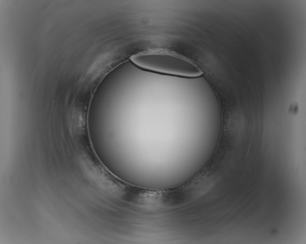 X0000115640084200911101526