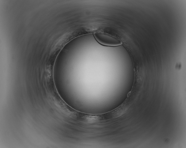 X0000115640085200911101526