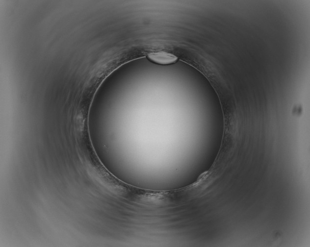 X0000115640086200911101526