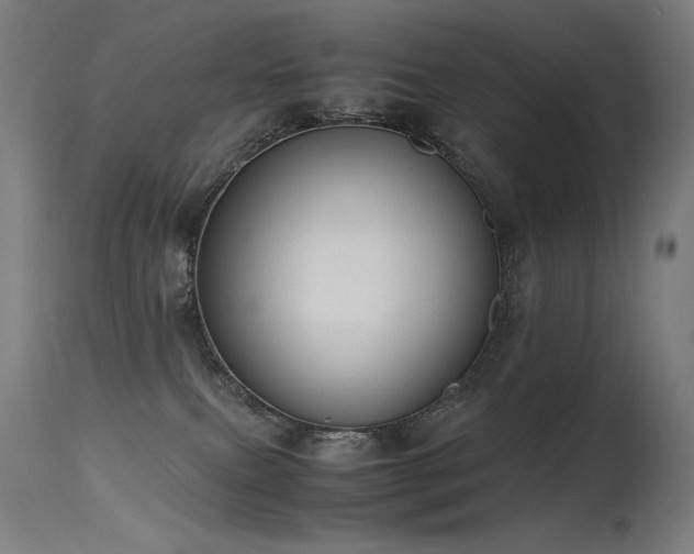 X0000115640087200911101526