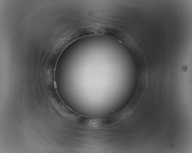 X0000115640088200911101526