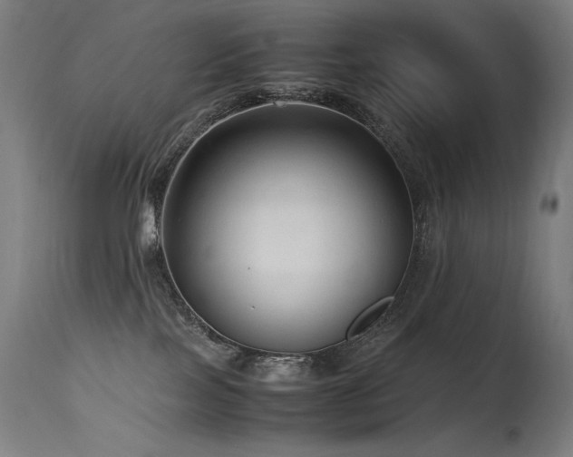 X0000115640089200911101526