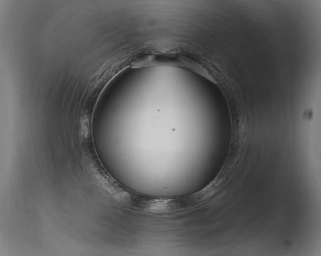 X0000115640090200911101526