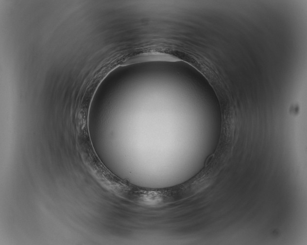 X0000115640091200911101526