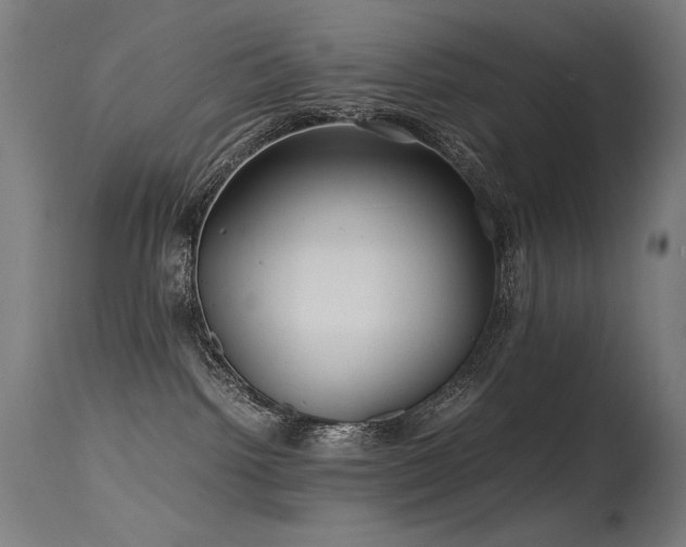 X0000115640092200911101526