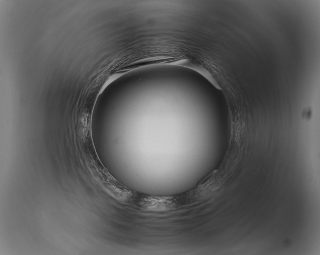 X0000115640093200911101526