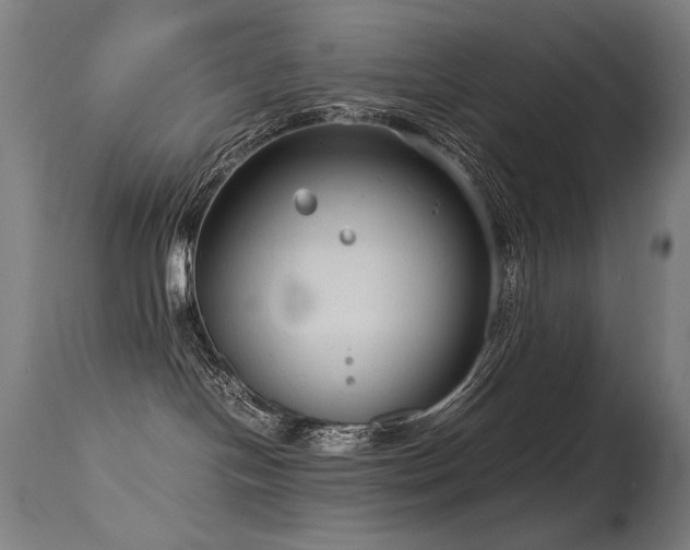 X0000115640094200911101526