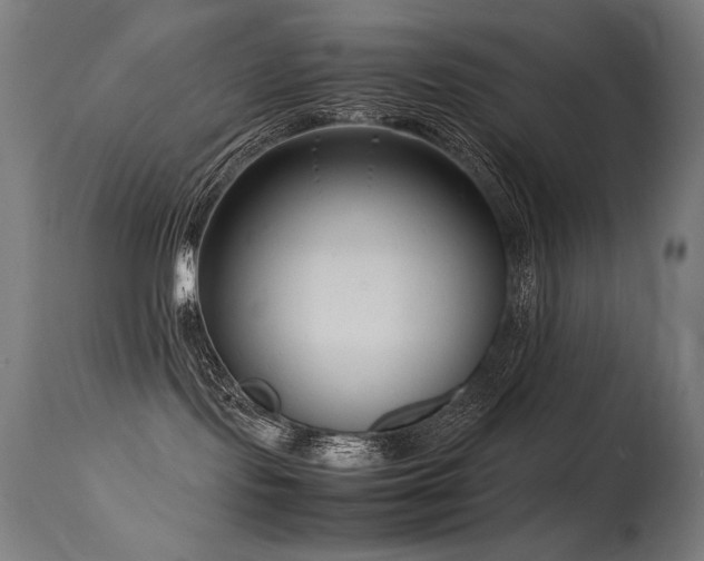 X0000115640095200911101526