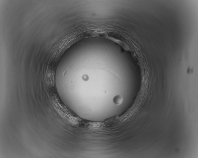 X0000115640096200911101526