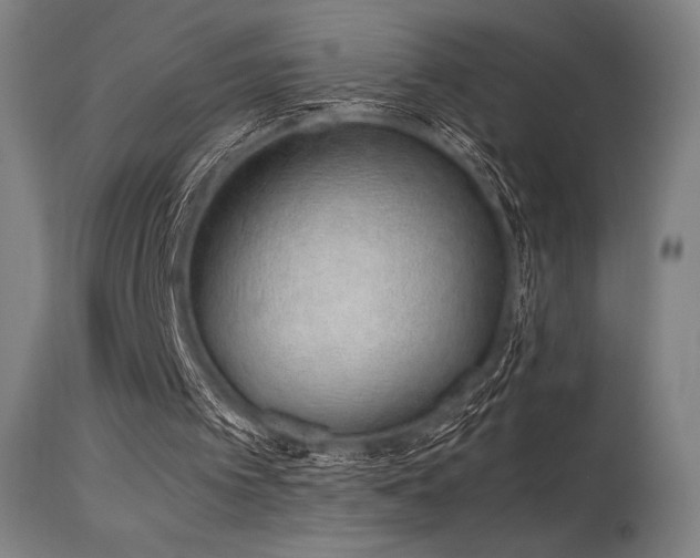 X0000115640097200911101525
