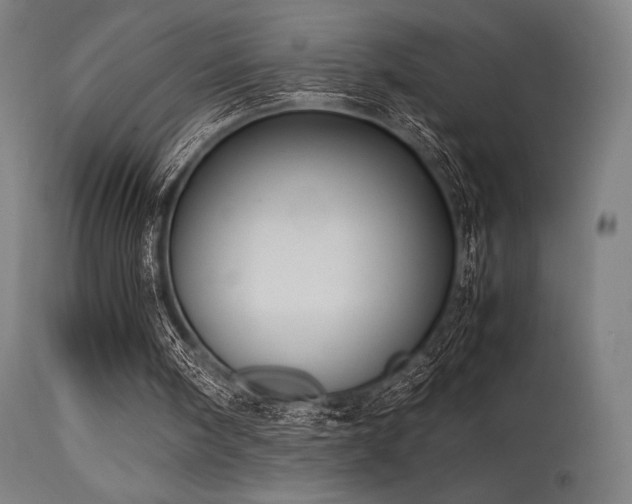 X0000115640098200911101525