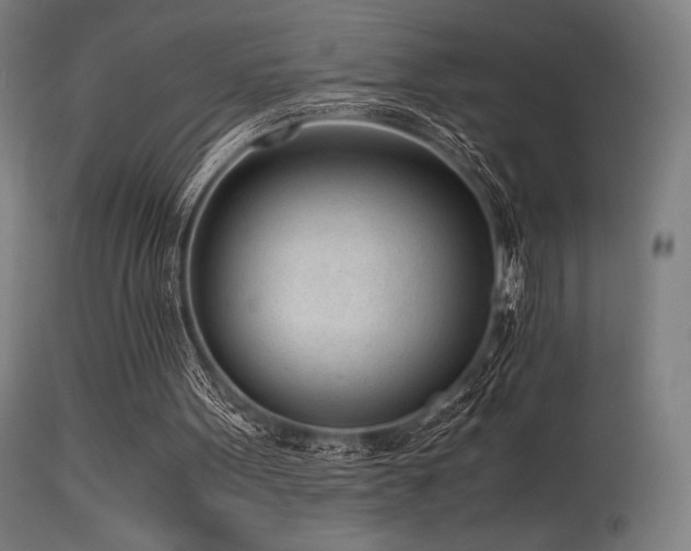 X0000115640099200911101525