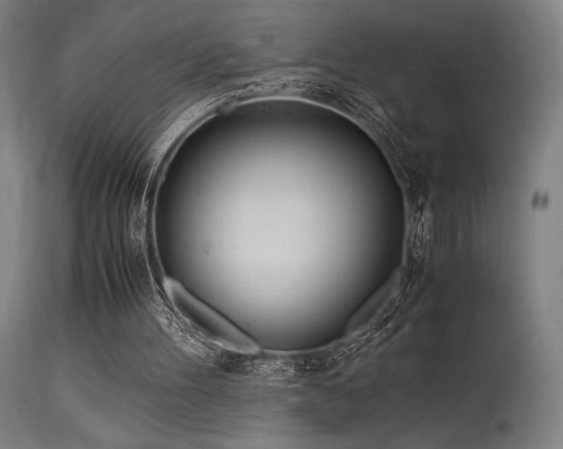 X0000115640100200911101525