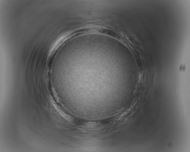 X0000115640101200911101525