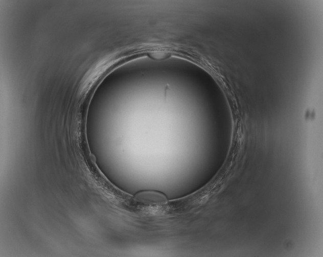 X0000115640103200911101525