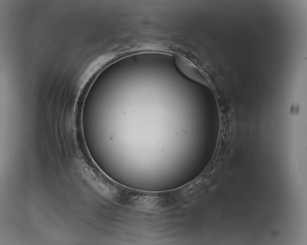 X0000115640104200911101525