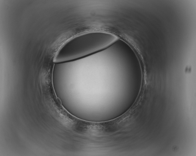 X0000115640105200911101525