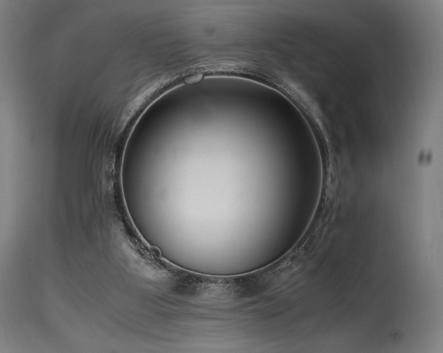 X0000115640107200911101525