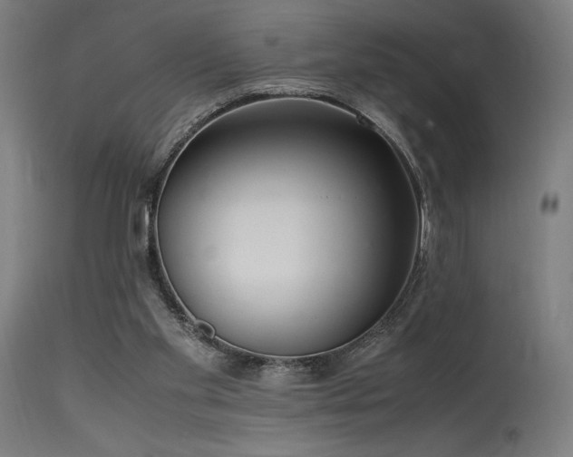 X0000115640109200911101525