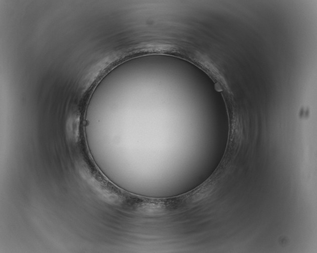 X0000115640110200911101525