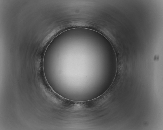 X0000115640111200911101525
