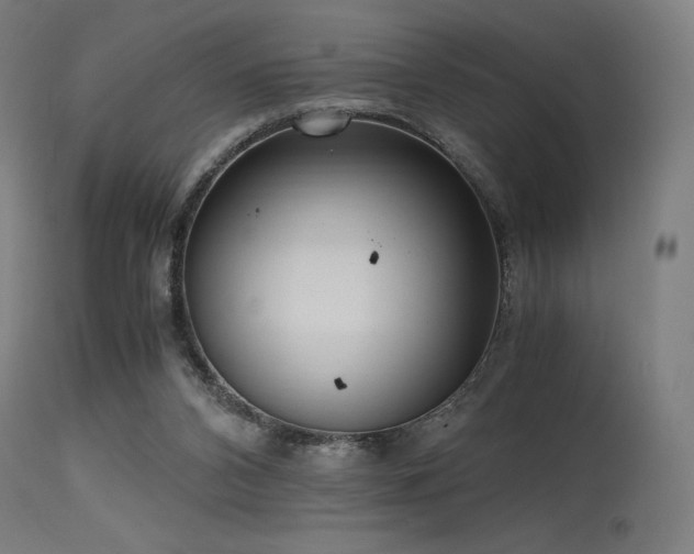X0000115640112200911101525